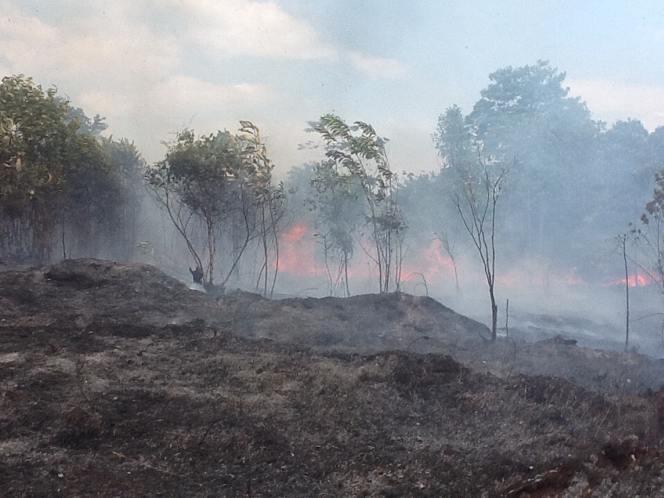 Sahrikudding 99 Persen Kebakaran Hutan Akibat Ulah Masyarakat