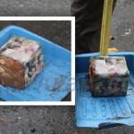 Klik untuk memperbesar