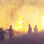 Enam operasi kebakaran lahan ditangani Damkar Luwu Timur dalam sehari. Luas lahan yang dilaporkan terbakar mencapai sekitar 16 hektare di Towuti dan Malili (iST)