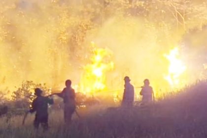 Enam operasi kebakaran lahan ditangani Damkar Luwu Timur dalam sehari. Luas lahan yang dilaporkan terbakar mencapai sekitar 16 hektare di Towuti dan Malili (iST)