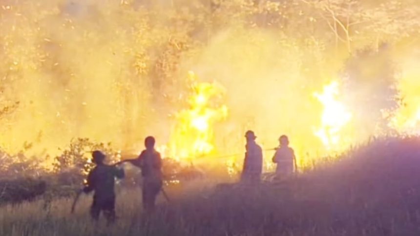 Enam operasi kebakaran lahan ditangani Damkar Luwu Timur dalam sehari. Luas lahan yang dilaporkan terbakar mencapai sekitar 16 hektare di Towuti dan Malili (iST)
