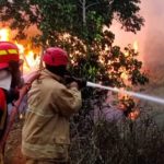 Damkar Luwu Timur menangani lima kebakaran lahan di tiga kecamatan serta satu kebakaran rumah dalam rentang Minggu hingga Senin dini hari (Sumber: Ist)