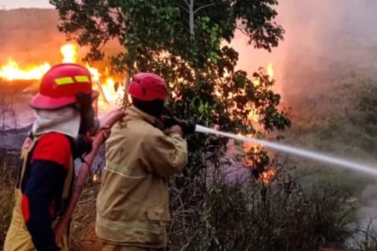 Damkar Luwu Timur menangani lima kebakaran lahan di tiga kecamatan serta satu kebakaran rumah dalam rentang Minggu hingga Senin dini hari (Sumber: Ist)