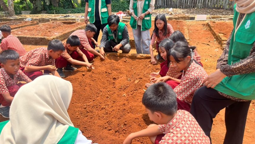 Mahasiswa KKN-T UIN Palopo mengajak siswa SDN 270 Matompi mengenal dan menanam tanaman obat sebagai bagian dari edukasi lingkungan.